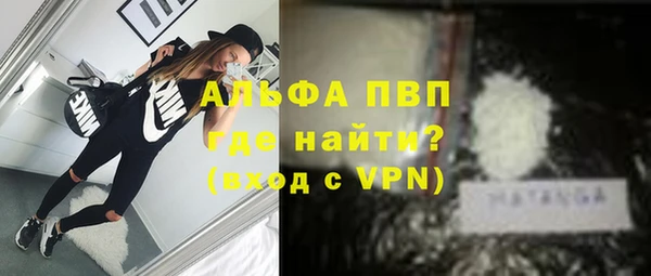 spice Арсеньев