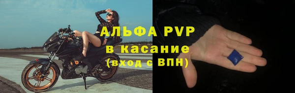 трава Аркадак