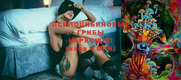 spice Арсеньев